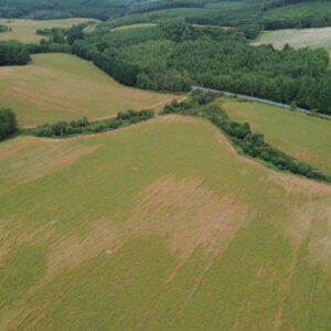 25年直営農場そば日記(北海道5)