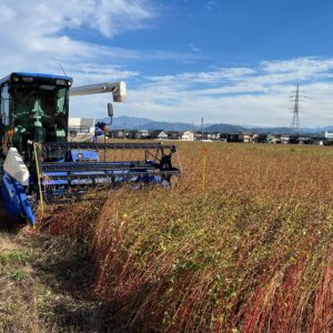 25年直営農場そば日記(越前4)